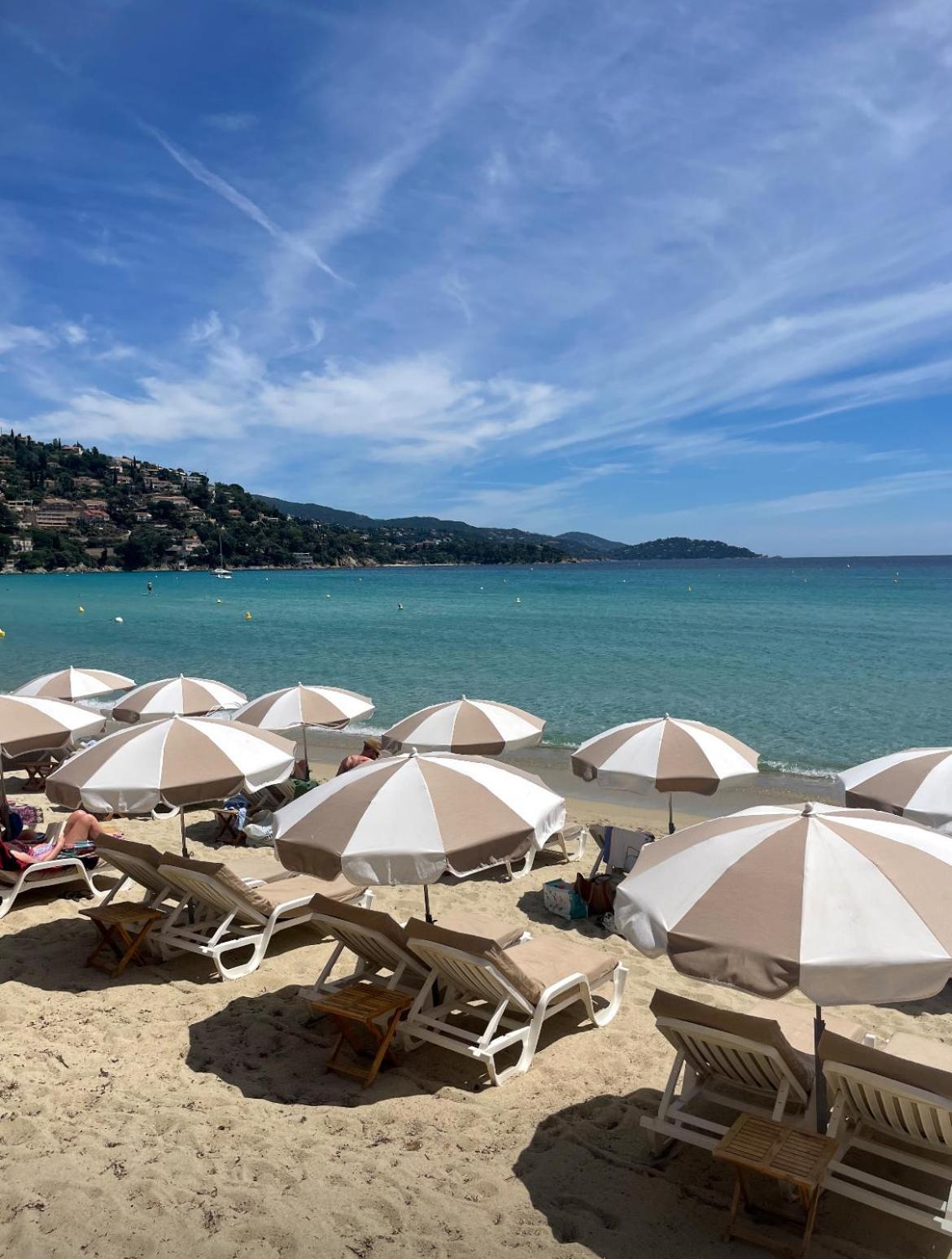 Appartement Le Cap Taillât Le Lavandou
